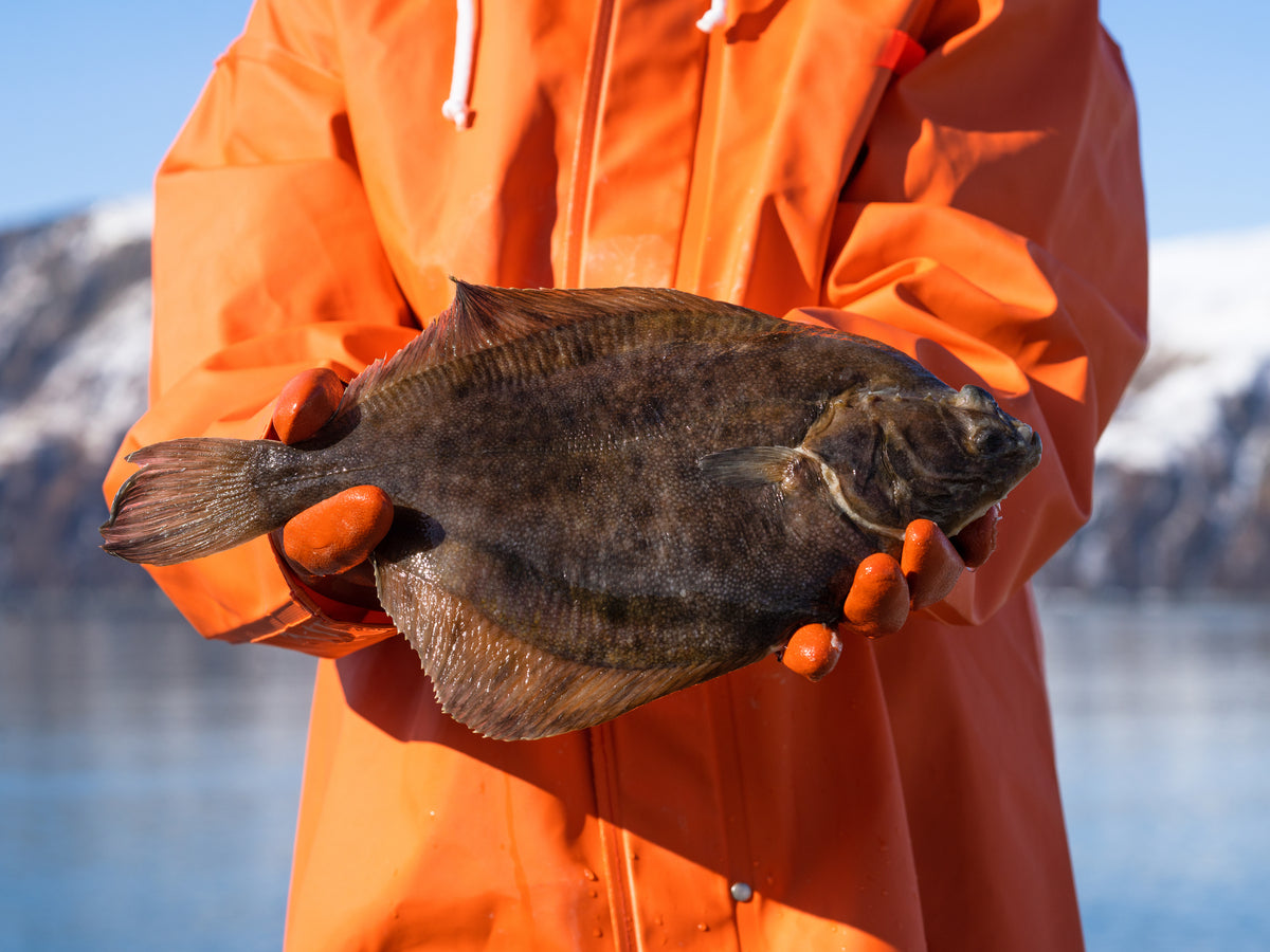 Alaskan Flounder Share - 20 lbs. [50% OFF]