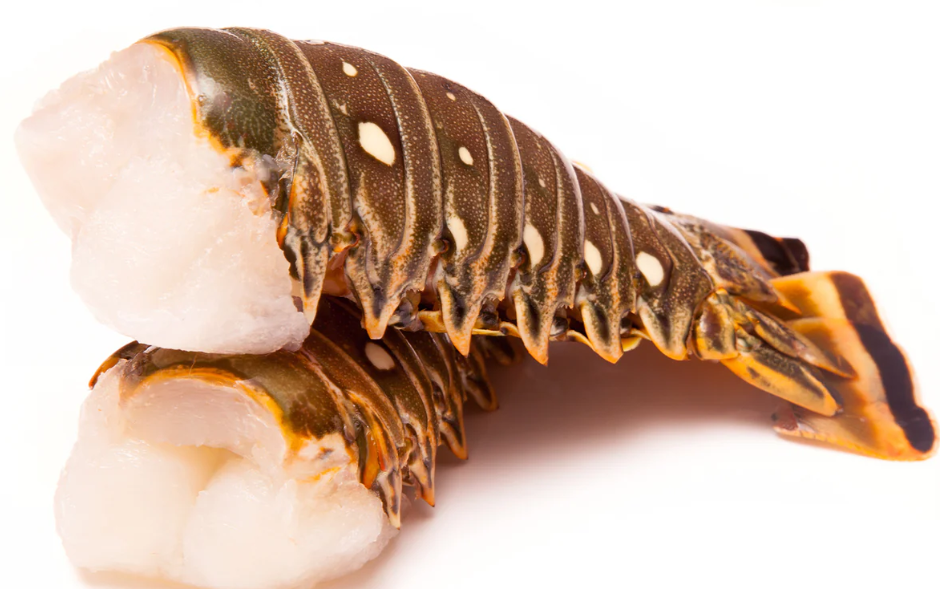 Warm Water Lobster Tail - 1 Tail (IN STORE PICKUP)