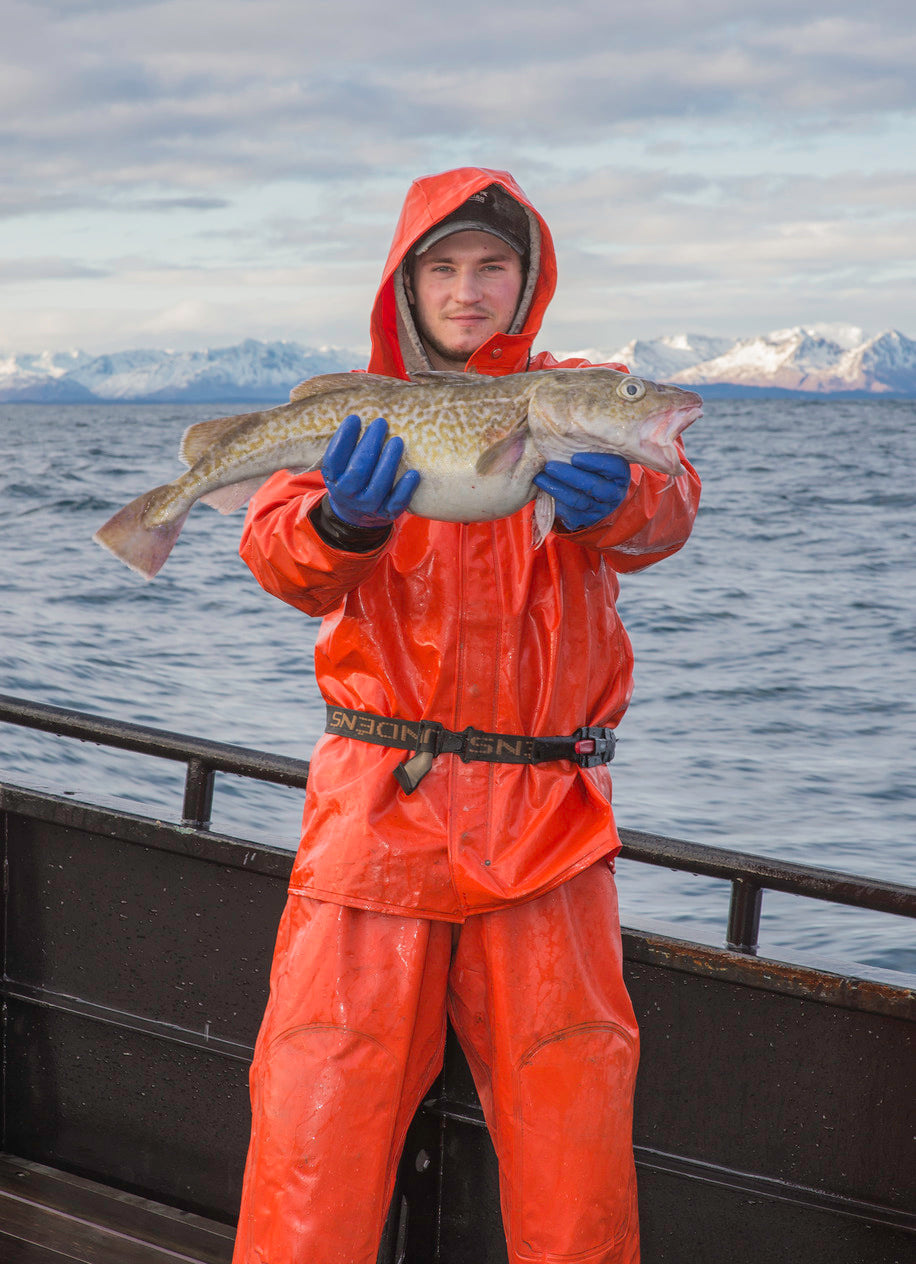 Pacific Cod Share - 20 lbs.